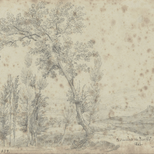 image for: Lluís Rigalt - Cercanías de Torelló - 1845