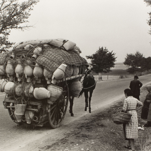 image for: Oriol Maspons - Sense títol (La Manxa. Fotografia per al llibre «Tierra de Olivos», d&#039;Antonio Ferres) - 1961