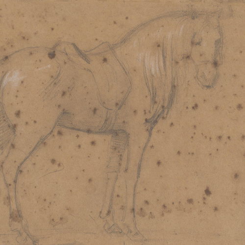 image for: Claudi Lorenzale - Estudi de cavall per al quadre «Els ambaixadors de la Diputació a Vilafranca prohibeixen a la Reina Joana que acompanyi el Príncep de Viana a Barcelona» - Cap a 1870