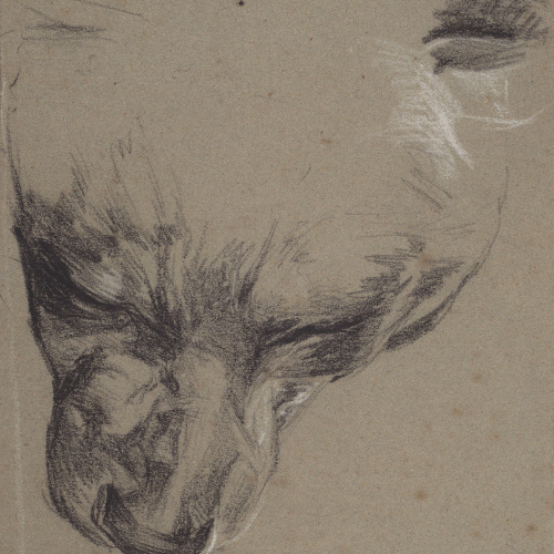 image for: Ramon Martí i Alsina - Morro d&#039;una guineu - Cap a 1862