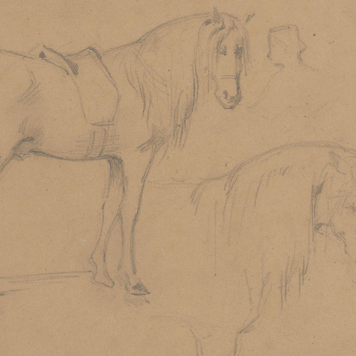 image for: Claudi Lorenzale - Estudis de cavall - Cap a 1850-1870