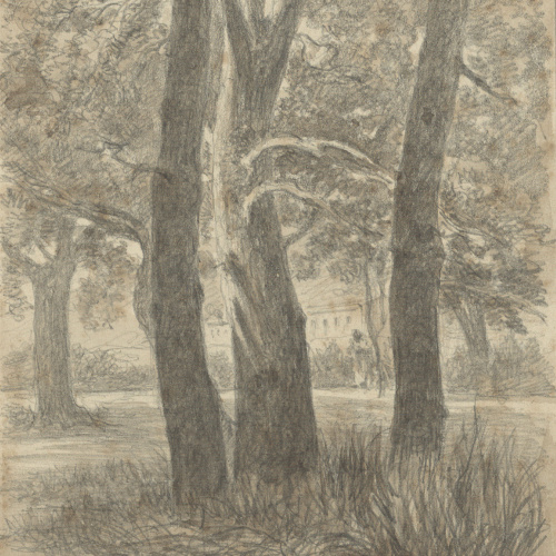 image for: Lluís Rigalt - Lagarriga. Bosque Tarrés Roselló - Juny de 1879