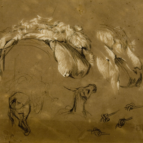 image for: Ramon Martí i Alsina - Estudi de ruc i sàrries per al quadre del Quixot - Cap a 1860-1880