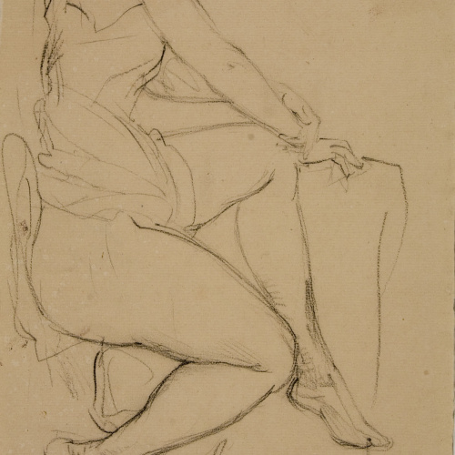 image for: Ramon Martí i Alsina - Nu de dona - Cap a 1865-1870