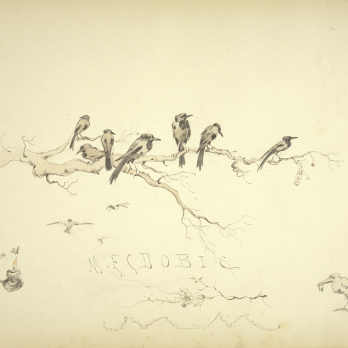 image for: Modest Urgell - Ocells i altres apunts - Cap a 1880