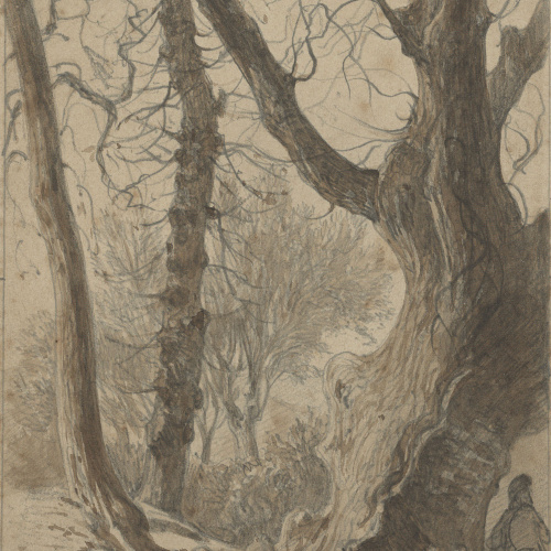 image for: Lluís Rigalt - Torrent de la Gironella - Març de 1874