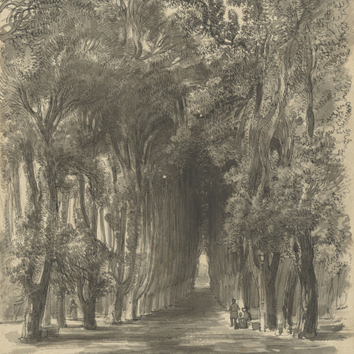 image for: Lluís Rigalt - Perpignan. Promenade des Platannés - 1850