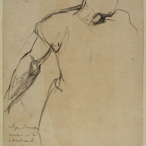 image for: Ramon Martí i Alsina - Part superior de figura femenina per al quadre El Sometent del Bruc - Cap a 1866