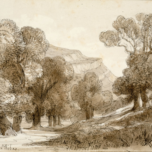 image for: Lluís Rigalt - Camino de Ripoll a Ribas - Cap a 1851