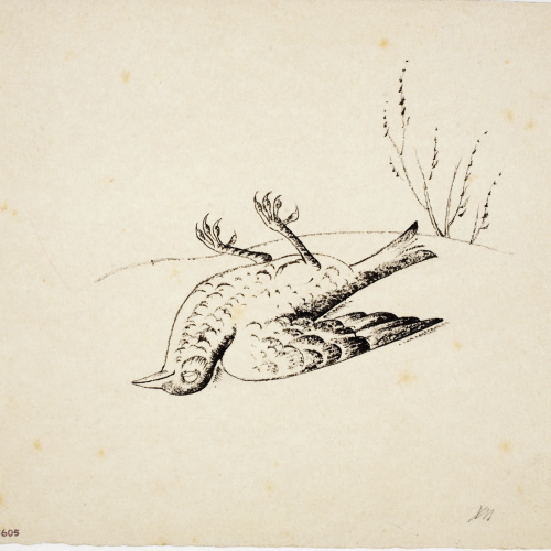 image for: Xavier Nogués - Griva morta (il·lustració per al «Bestiari» de Joan Oliver) - Cap a 1937