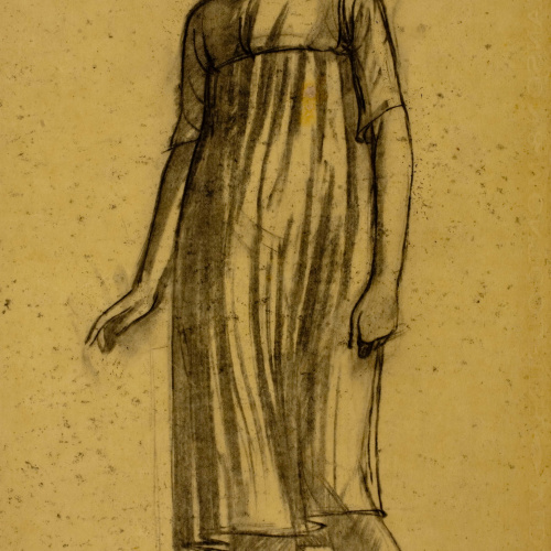 image for: Xavier Nogués - Dona dempeus