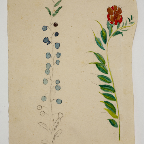 image for: Xavier Nogués - Motius florals. Estudi preparatori per a la decoració de vidre esmaltat - Cap a 1924-1928