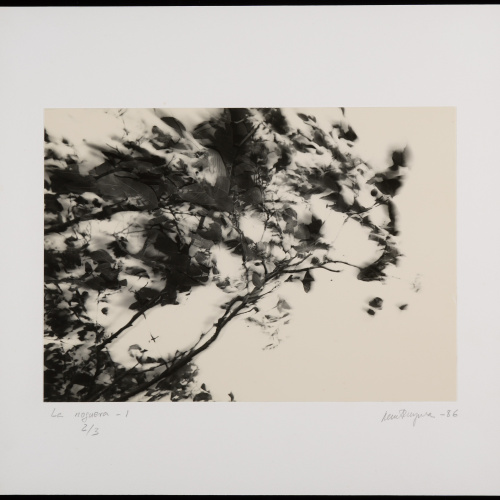Pere Formiguera - Noguera I - [no-dating]