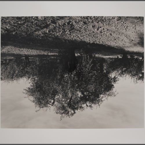Pere Formiguera - Sense títol - [no-dating]