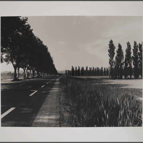 Pere Formiguera - Routo - [no-dating]