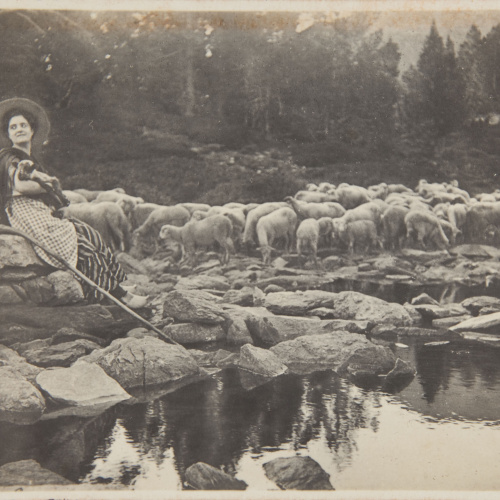 image for: Pere Casas Abarca - Rebaño - Cap a 1900