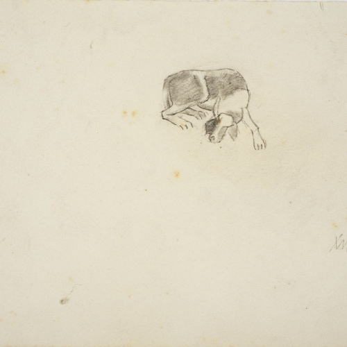image for: Xavier Nogués - Gos. Estudi preparatori per a l&#039;oli «Excursionistes» - Cap a 1938
