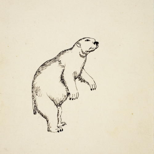 image for: Xavier Nogués - Ós blanc (il·lustració per al «Bestiari» de Joan Oliver) - Cap a 1937
