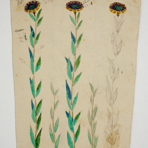 image for: Xavier Nogués - Motius florals. Estudi preparatori per a la decoració de vidre esmaltat - Cap a 1924-1928
