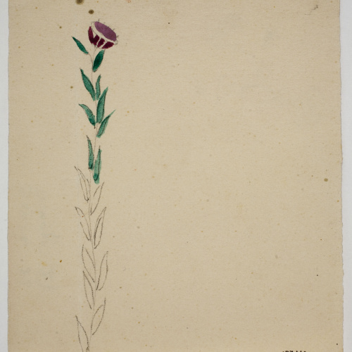 image for: Xavier Nogués - Flor. Estudi preparatori per a la decoració de vidre esmaltat - Cap a 1924-1928