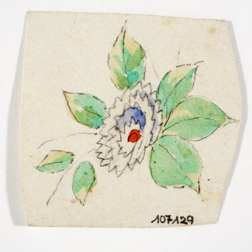 image for: Xavier Nogués - Flor. Estudi preparatori per a la decoració de vidre esmaltat - Cap a 1924-1928