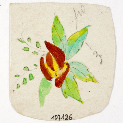 image for: Xavier Nogués - Flor. Estudi preparatori per a la decoració de vidre esmaltat - Cap a 1924-1928