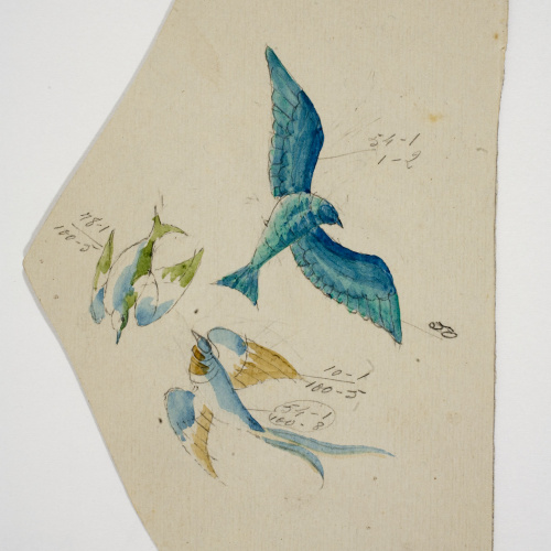 image for: Xavier Nogués - Ocell. Estudi preparatori per a la decoració de vidre esmaltat - Cap a 1924-1928