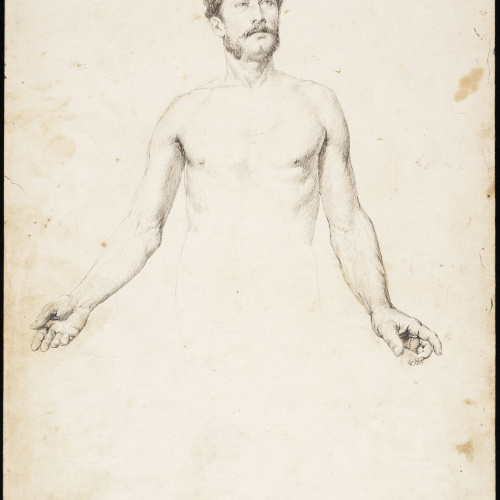 Eduard Llorens - Estudi tors masculí - Cap a 1854-1864 image for: Eduard Llorens - Estudi tors masculí - Cap a 1854-1864