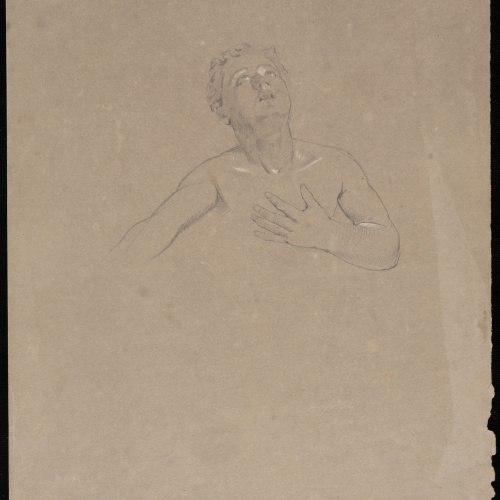 Eduard Llorens - Estudi de bust de jove - Cap a 1854-1864 image for: Eduard Llorens - Estudi de bust de jove - Cap a 1854-1864