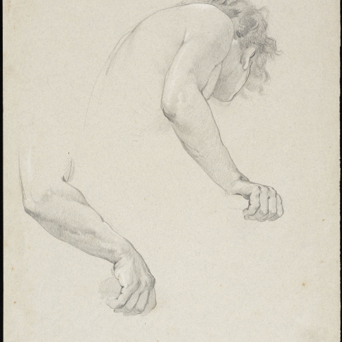 Eduard Llorens - Estudi de braços i tors - Cap a 1854-1864 image for: Eduard Llorens - Estudi de braços i tors - Cap a 1854-1864