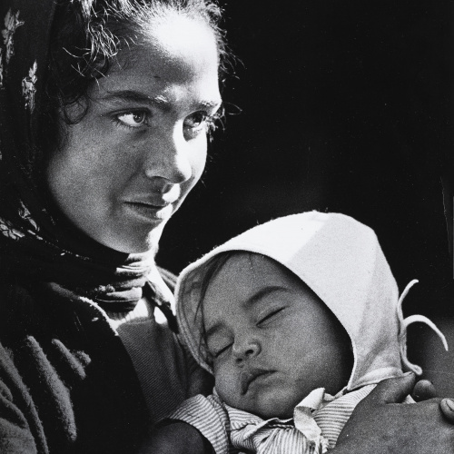 image for: Rosa Szücs - Sense títol - No datat