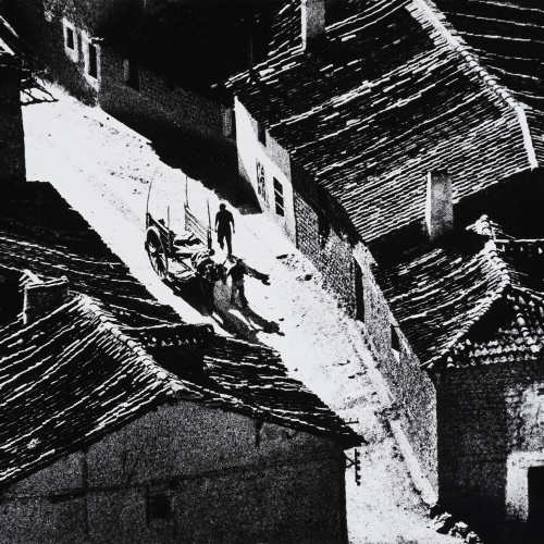 image for: Rosa Szücs - Sense títol - 1966