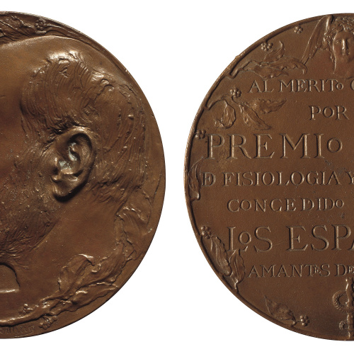 image for: Mariano Benlliure - A Santiago Ramon y Cajal - Cap a 1907