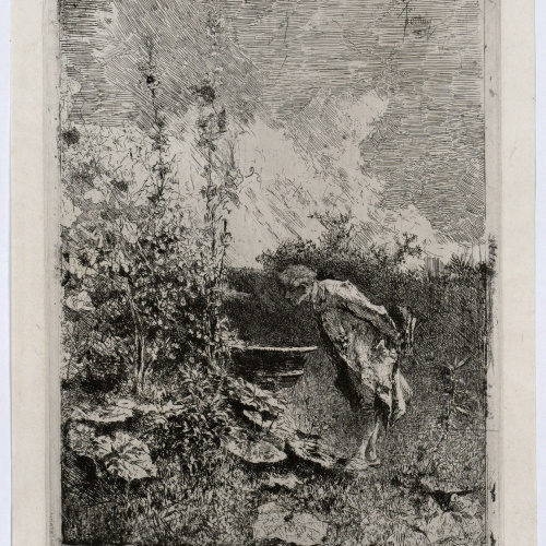 image for: Marià Fortuny - El botànic - Cap a 1868-1869