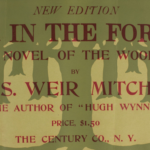 image for: Blanche McManus - Far in the Forest - 1889