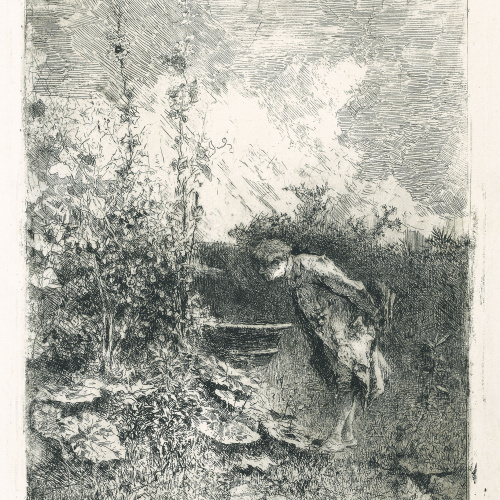 image for: Marià Fortuny - El botànic - Cap a 1868-1869