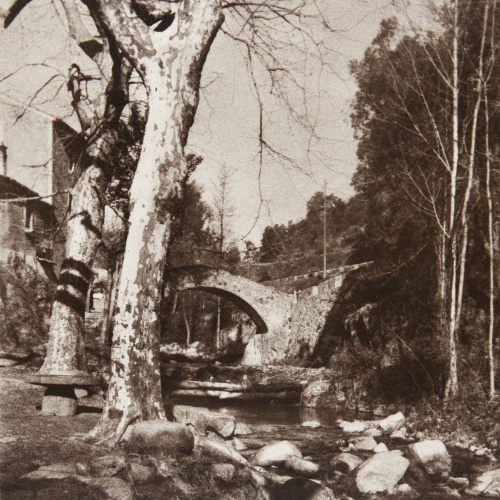 image for: Claudi Carbonell - Sense títol - No datat