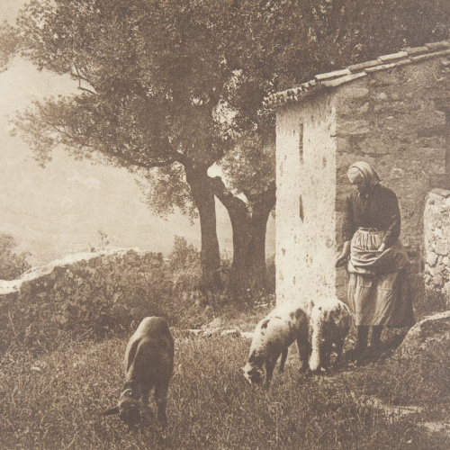 image for: Claudi Carbonell - Escena campestre - No datat