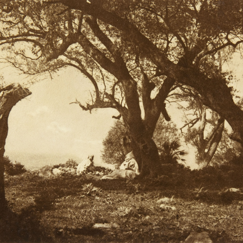 image for: Claudi Carbonell - Tossa de Mar - No datat