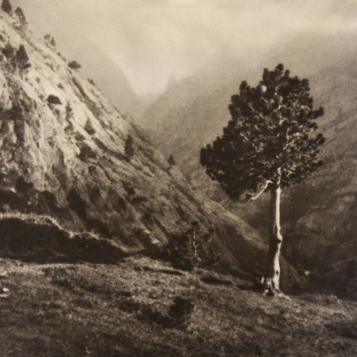 image for: Claudi Carbonell - Sense títol - No datat