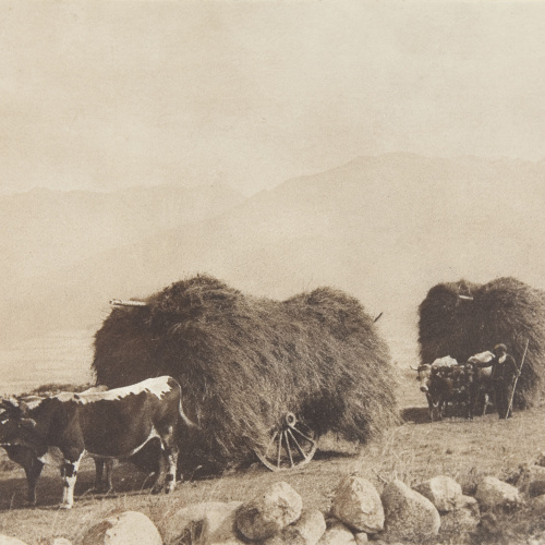 image for: Claudi Carbonell - Cosecha - 1927