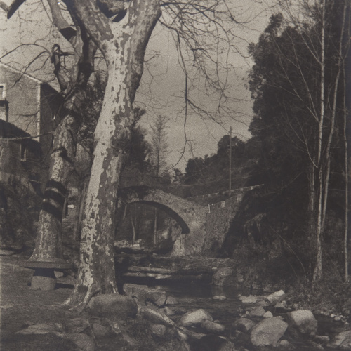 image for: Claudi Carbonell - Sense títol - No datat