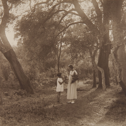 Claudi Carbonell - Sense títol - No datat image for: Claudi Carbonell - Sense títol - No datat