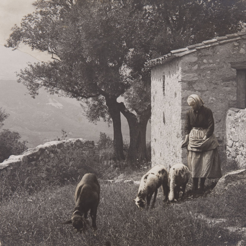 image for: Claudi Carbonell - Sense títol [Escena campestre] - No datat