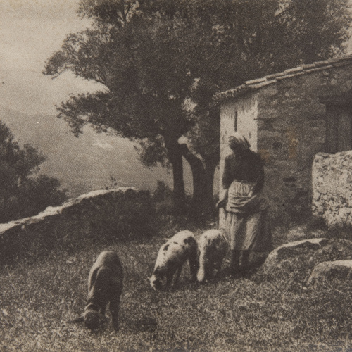 image for: Claudi Carbonell - Sense títol [Escena campestre] - No datat