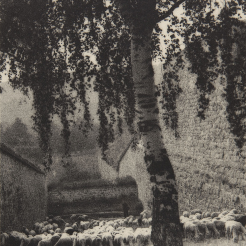 image for: Claudi Carbonell - Mont Louis. Les ovelles de la Ciutadel·la - 1926