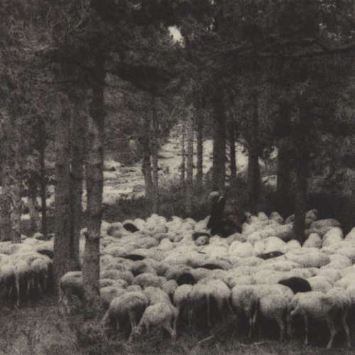 image for: Claudi Carbonell - Sense títol - 1926