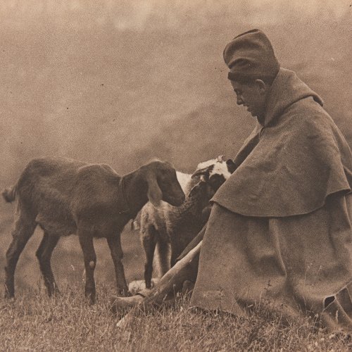 image for: Claudi Carbonell - Sense títol - No datat