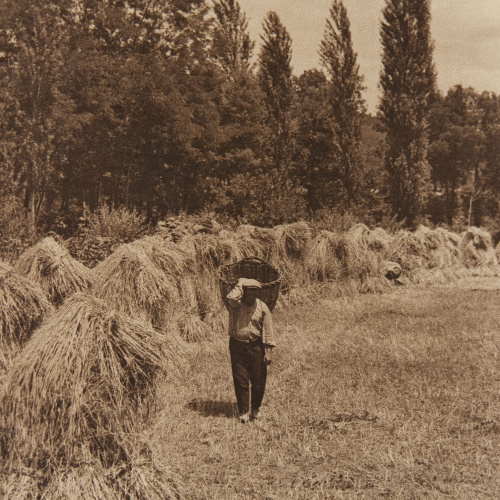 image for: Claudi Carbonell - Sense títol - No datat