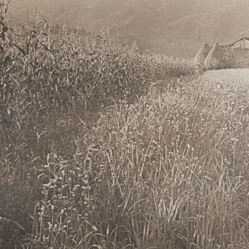 image for: Claudi Carbonell - Sense títol - No datat